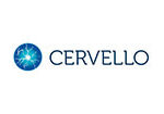 cervello